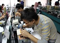 每年接纳约4000余人来中心帝豪娱乐