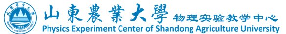 帝豪国际