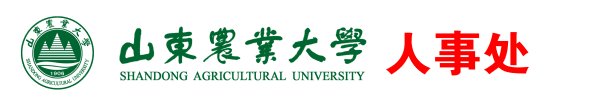 帝豪国际