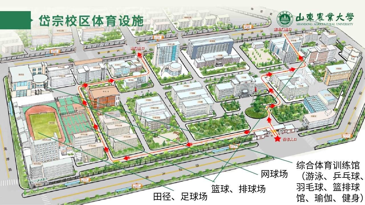 室外体育场地包括标准全塑胶场地3块
