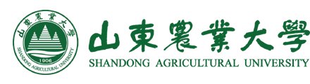 帝豪国际