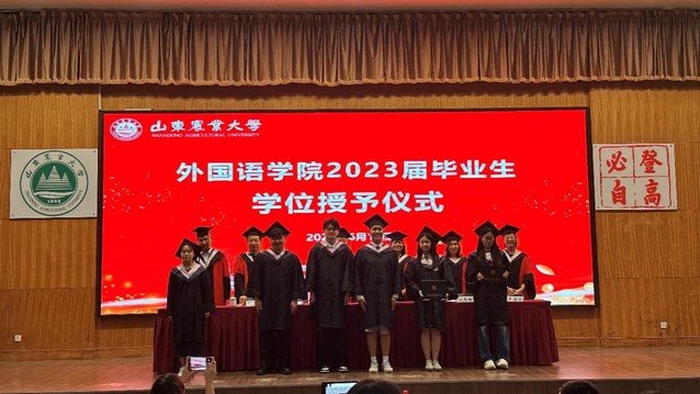 教授委员会主任