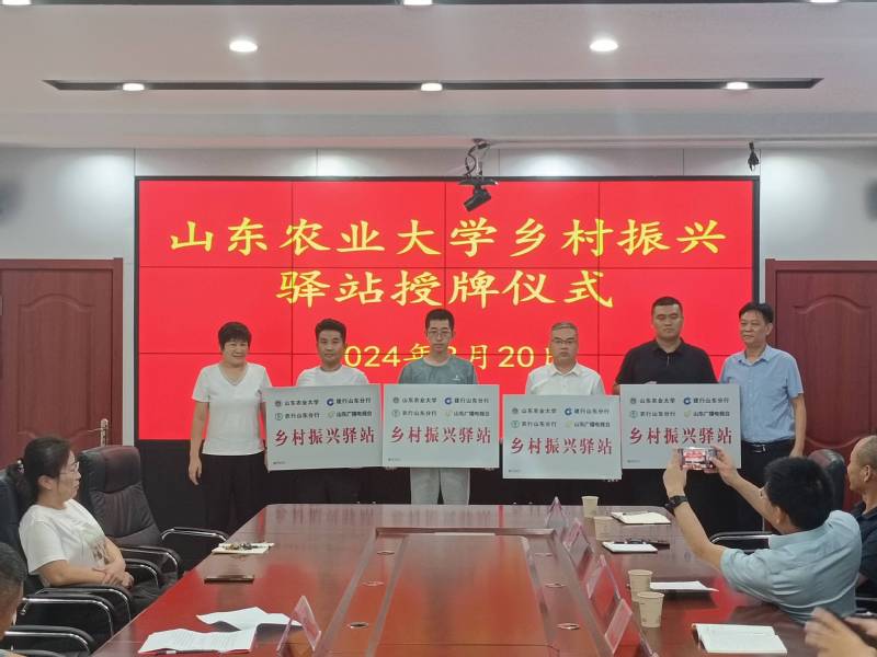 正文适合核对表述