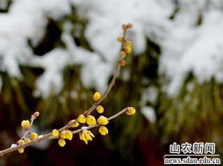 若需了解「帝豪娱乐官网官方渠道」的上