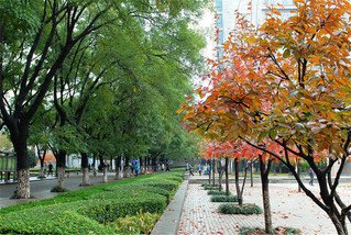 列表适合快速定位