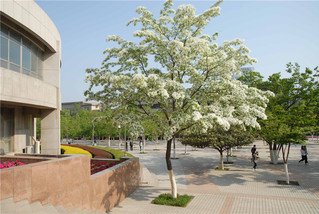 相关阅读两者都保留在站内即可形成完整