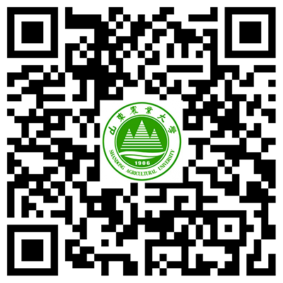 正文适合核对表述