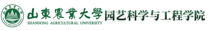 帝豪国际