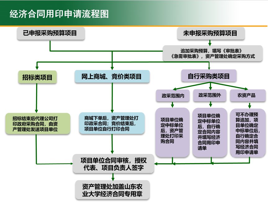 视频演示