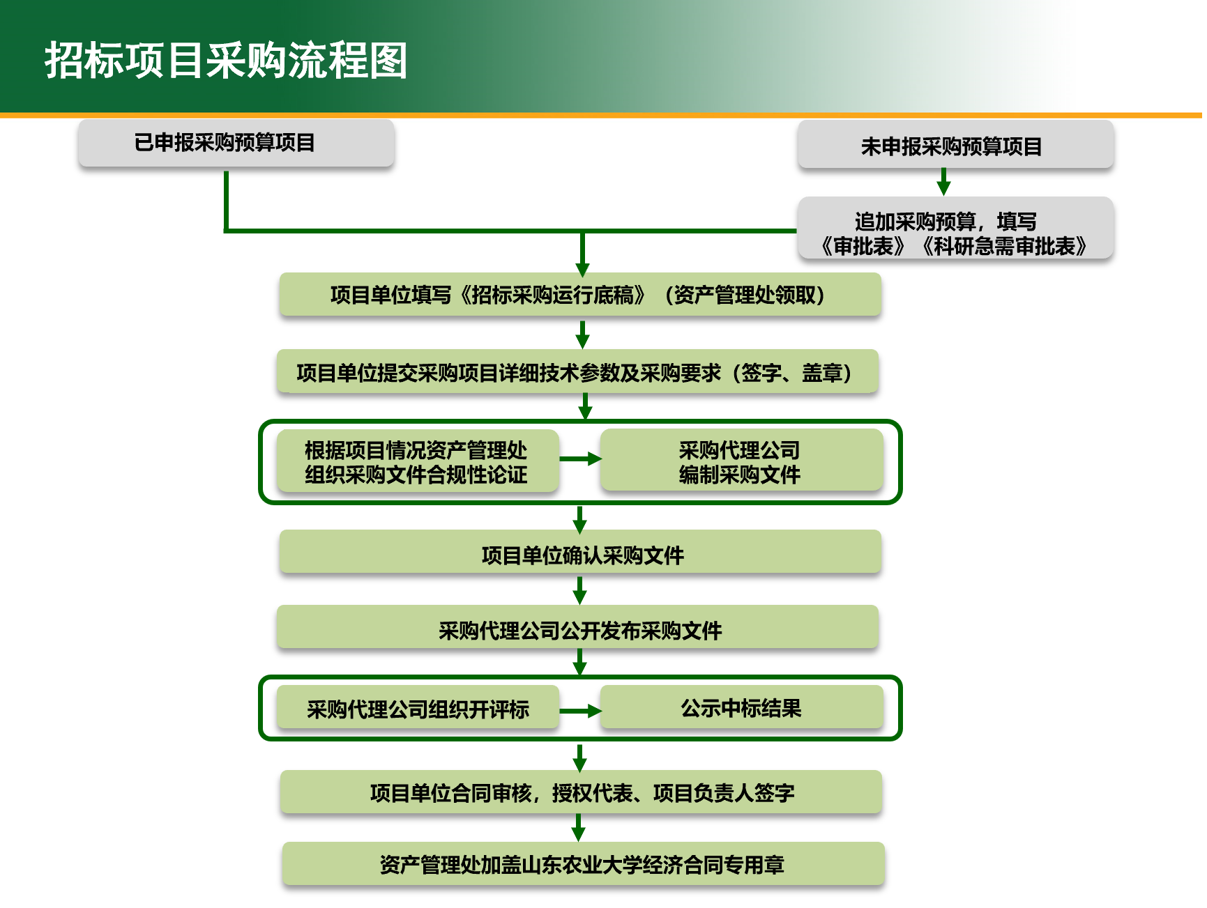 视频演示