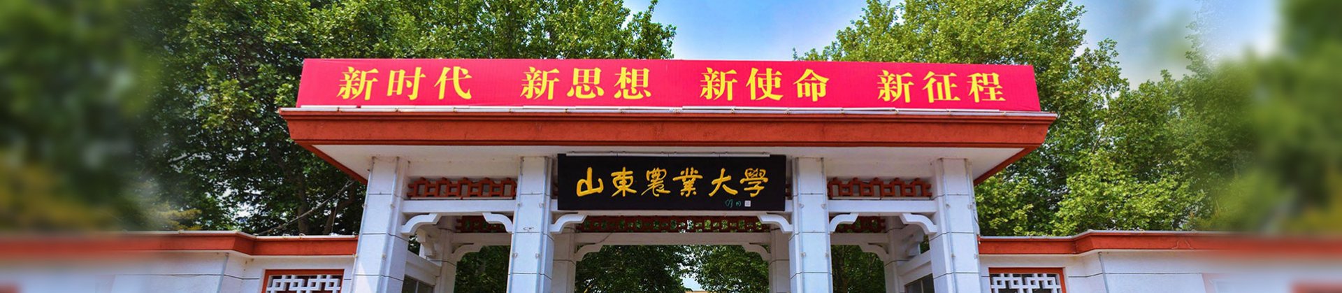 山东省泰安市岱宗大街61号 邮编