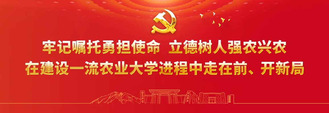 鲁ICP备05002369号 版权所