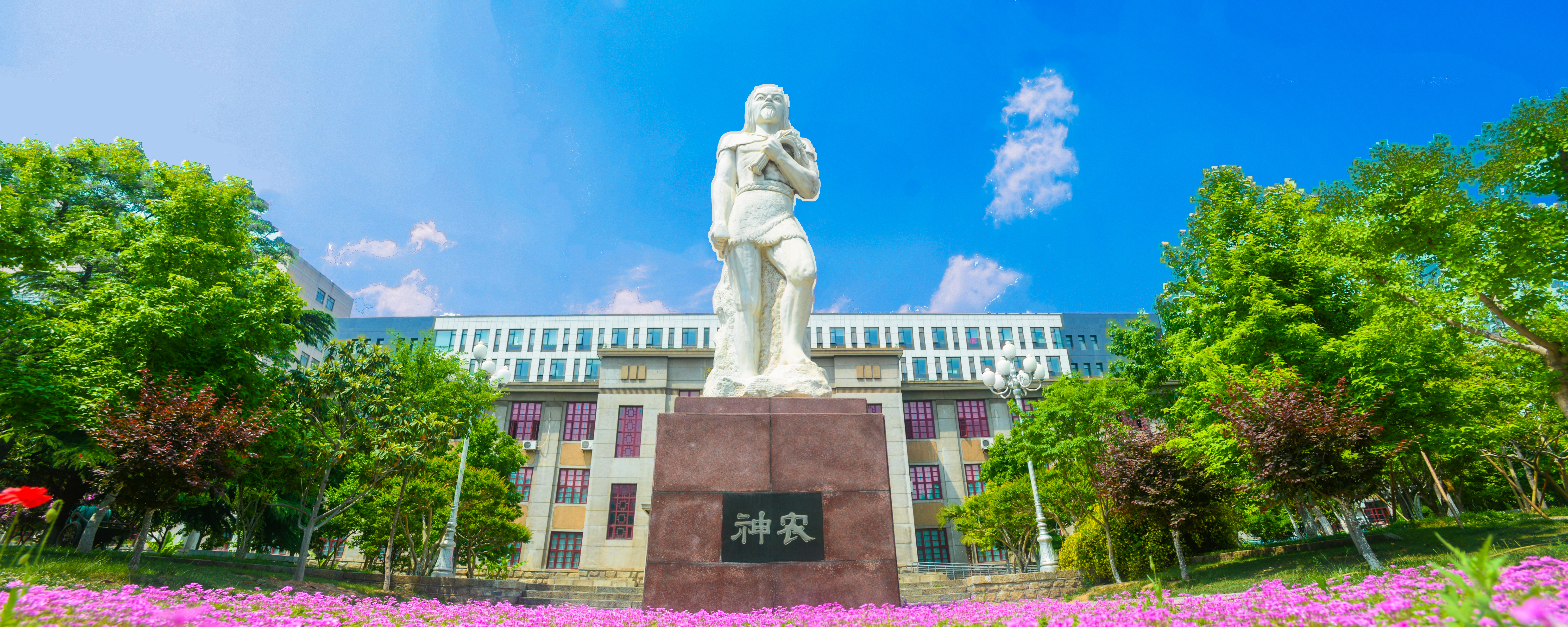 院系专业