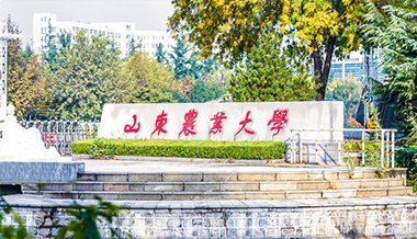 帝豪娱乐官网最新版下载主页