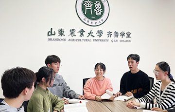 帝豪国际