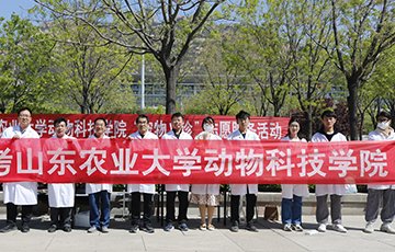 本站首页