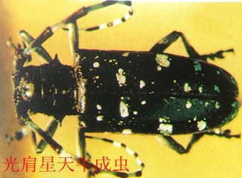 可结合站内栏目与相关篇目一并浏览