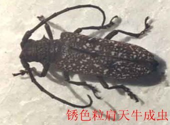 可结合站内栏目与相关篇目一并浏览