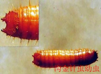 可结合站内栏目与相关篇目一并浏览