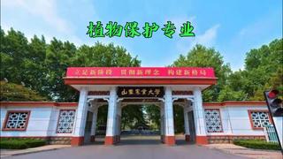 帝豪娱乐官网优惠活动