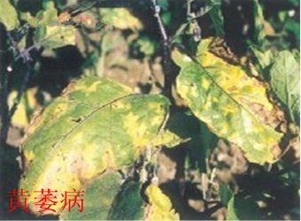 继续了解