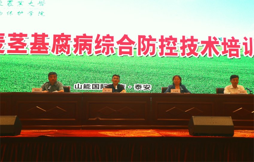 帝豪国际官网玩法说明动态