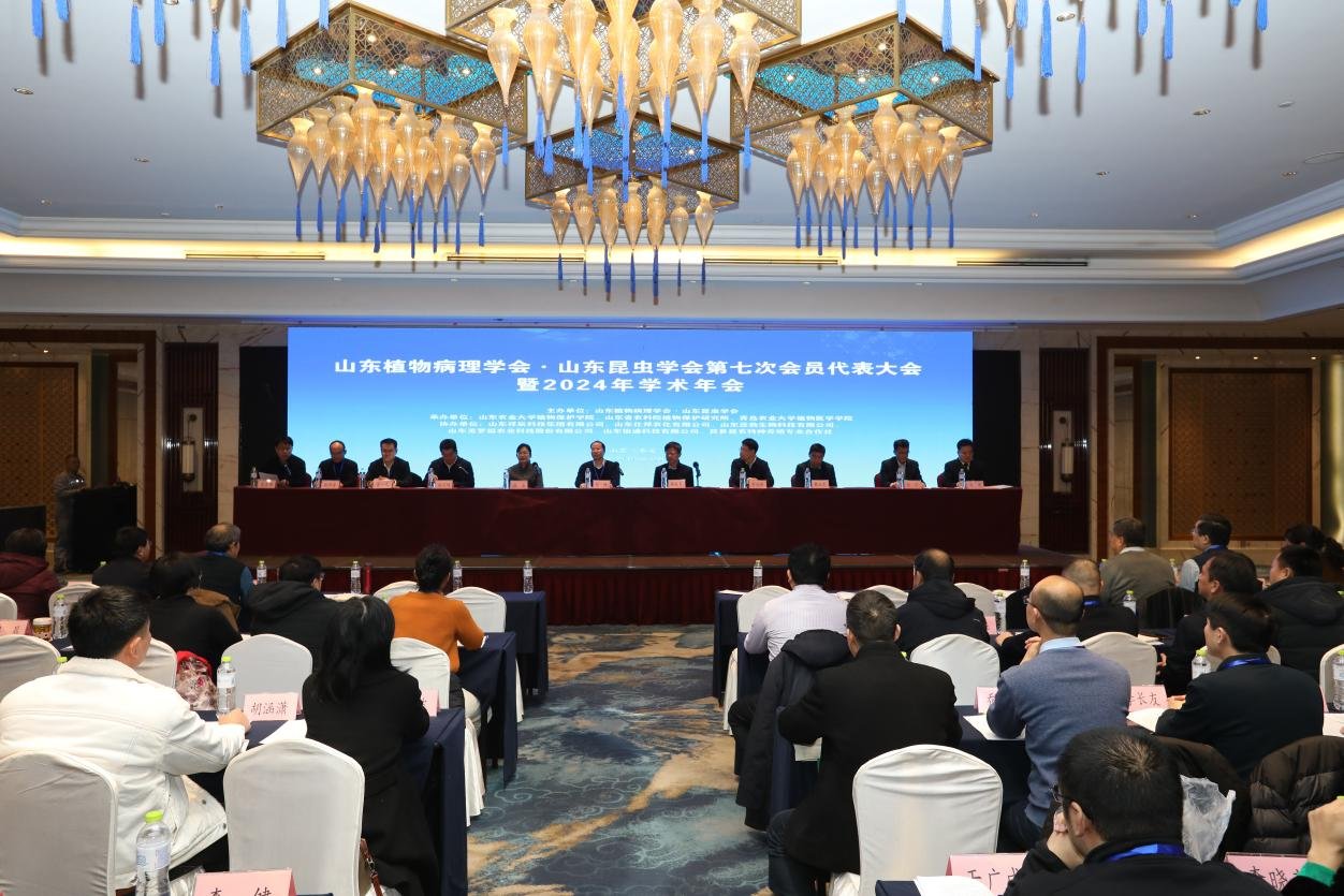 植物保护帝豪娱乐官网与切尔西续约官方合作
