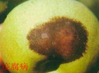 继续了解
