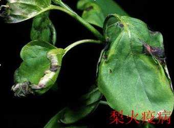 可结合站内栏目与相关篇目一并浏览