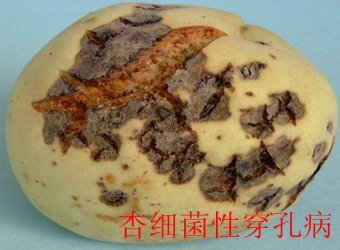可结合站内栏目与相关篇目一并浏览