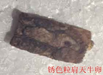 继续了解