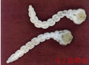 相关阅读这样安排可减少漏读与重复检索