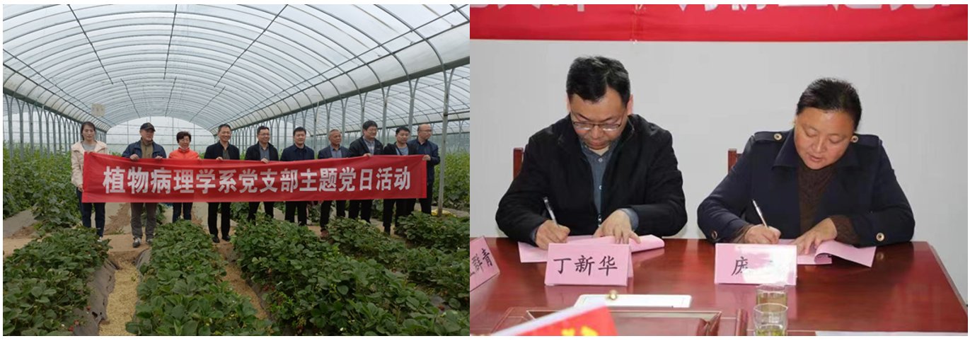 College of Plant P