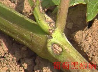继续了解这样安排可减少漏读与重复检索