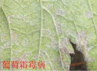 继续了解