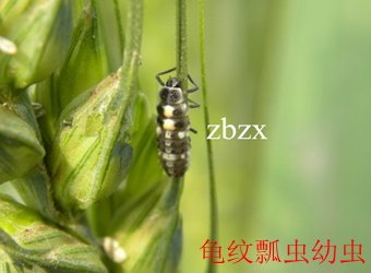栏目用于追新