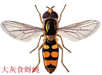 可结合站内栏目与相关篇目一并浏览