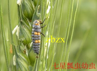 相关阅读这样安排可减少漏读与重复检索