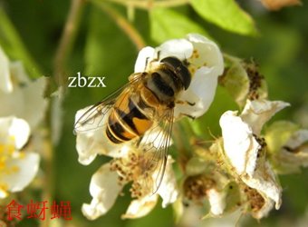 列表适合快速定位