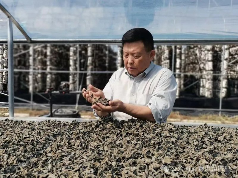 帝豪国际注册福利