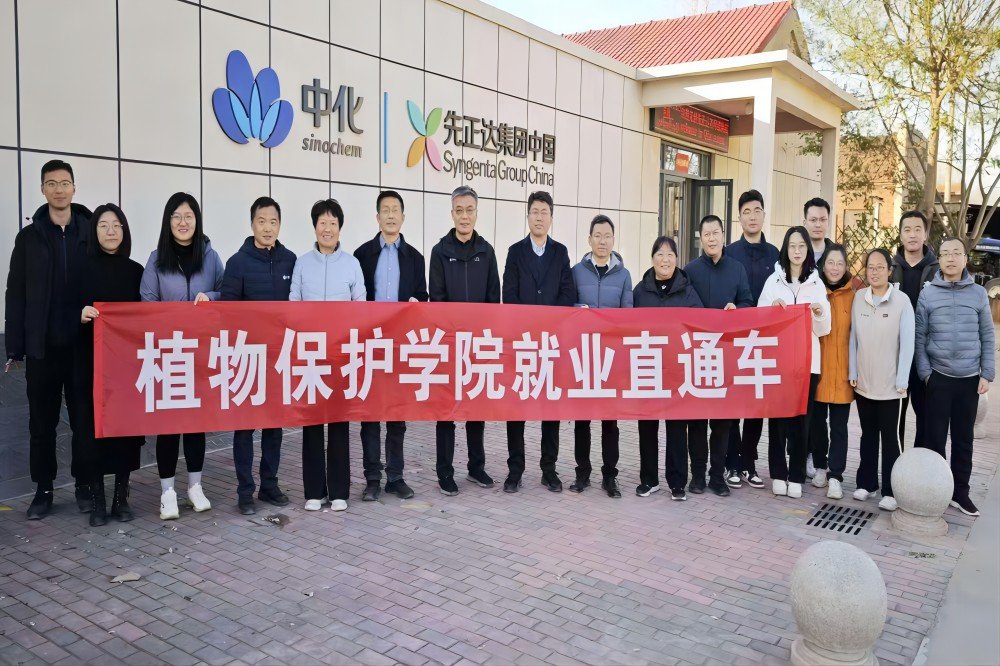 帝豪国际手机版登录动态
