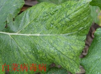 继续了解