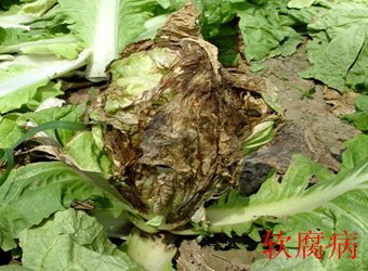 继续了解这样安排可减少漏读与重复检索