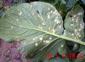 可结合站内栏目与相关篇目一并浏览