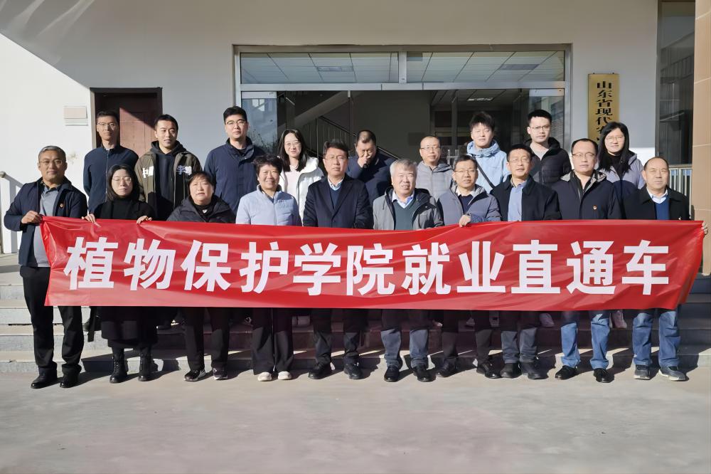 帝豪国际官网使用教程动态