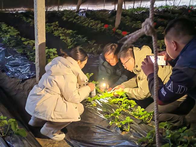 植物保护专业研究生“四自能力”提升创