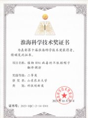 当前位置
