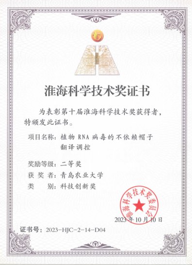作为获奖代表上台领奖