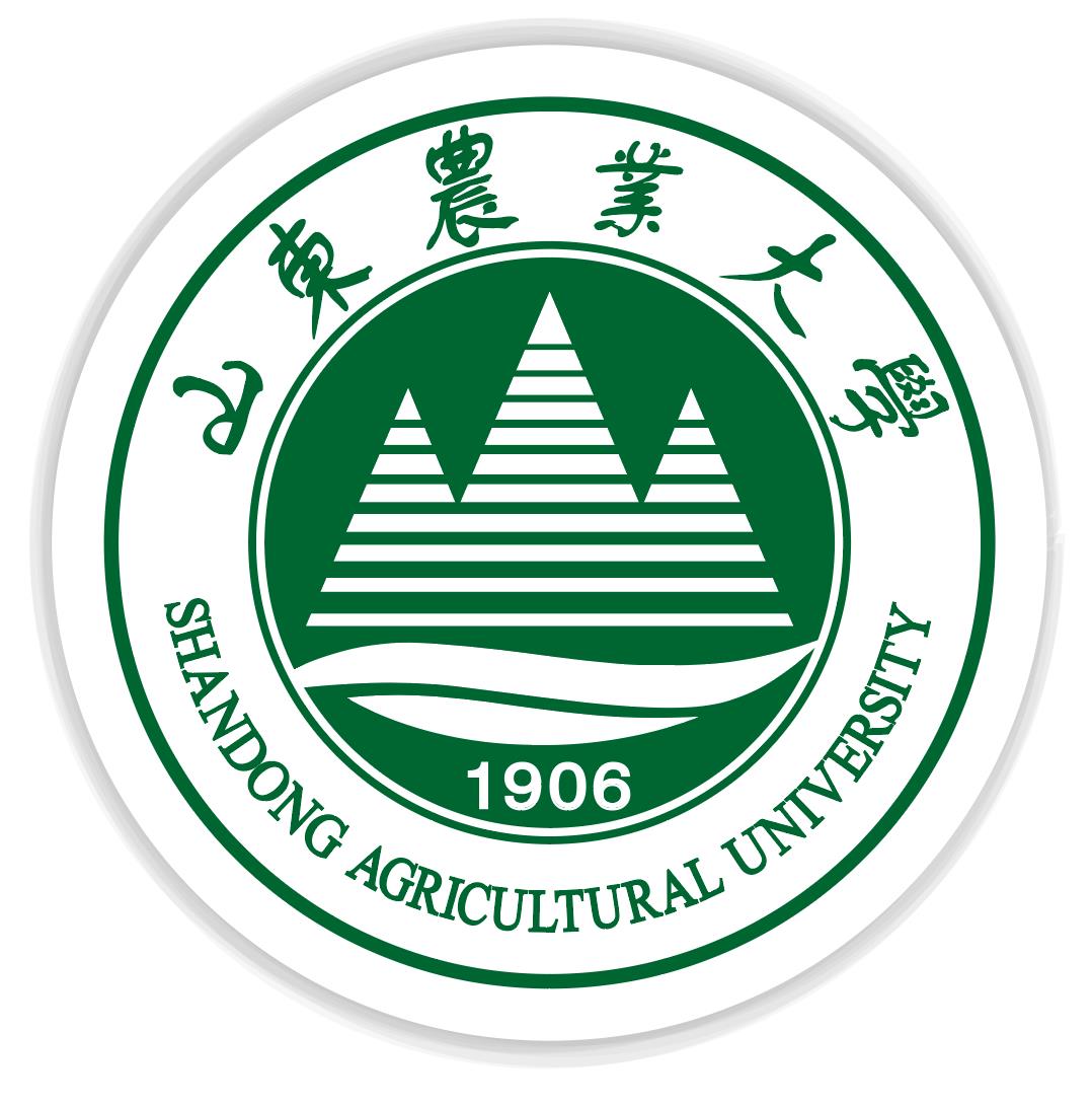2025省级教学成果奖申报