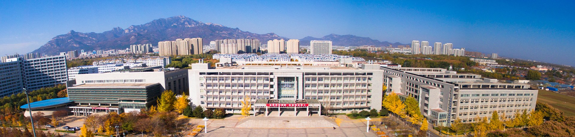 聚焦教学提质 筑牢育人根基——李...